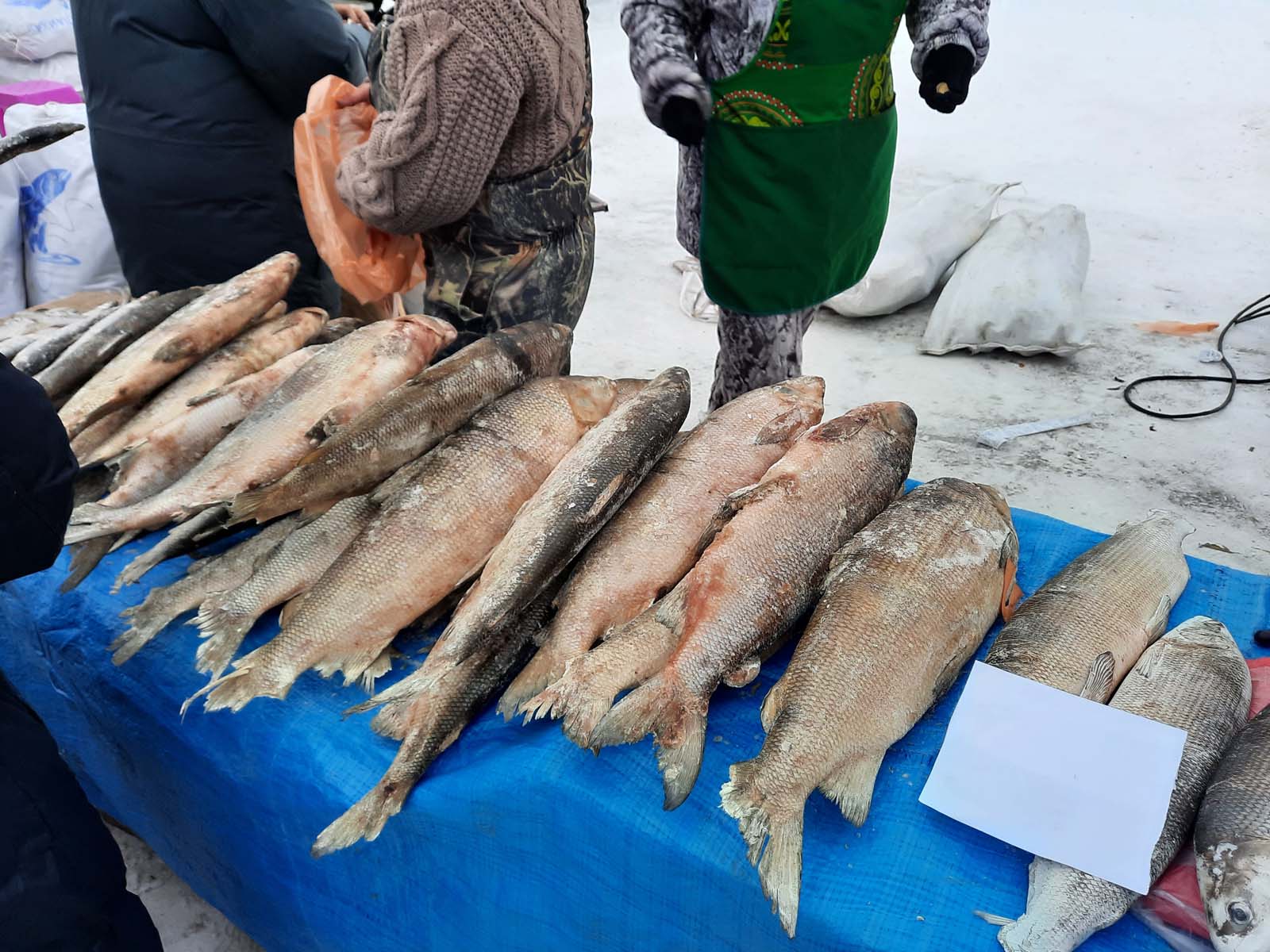 Выставка "Рыба Якутии - 2020"