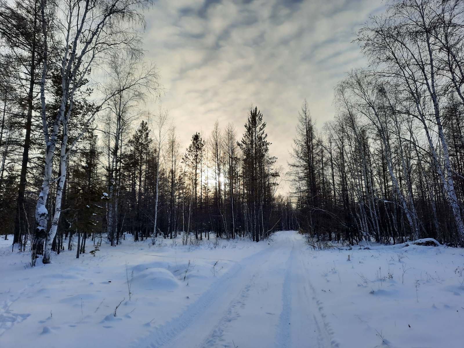 Прогулка по зимнему лесу!