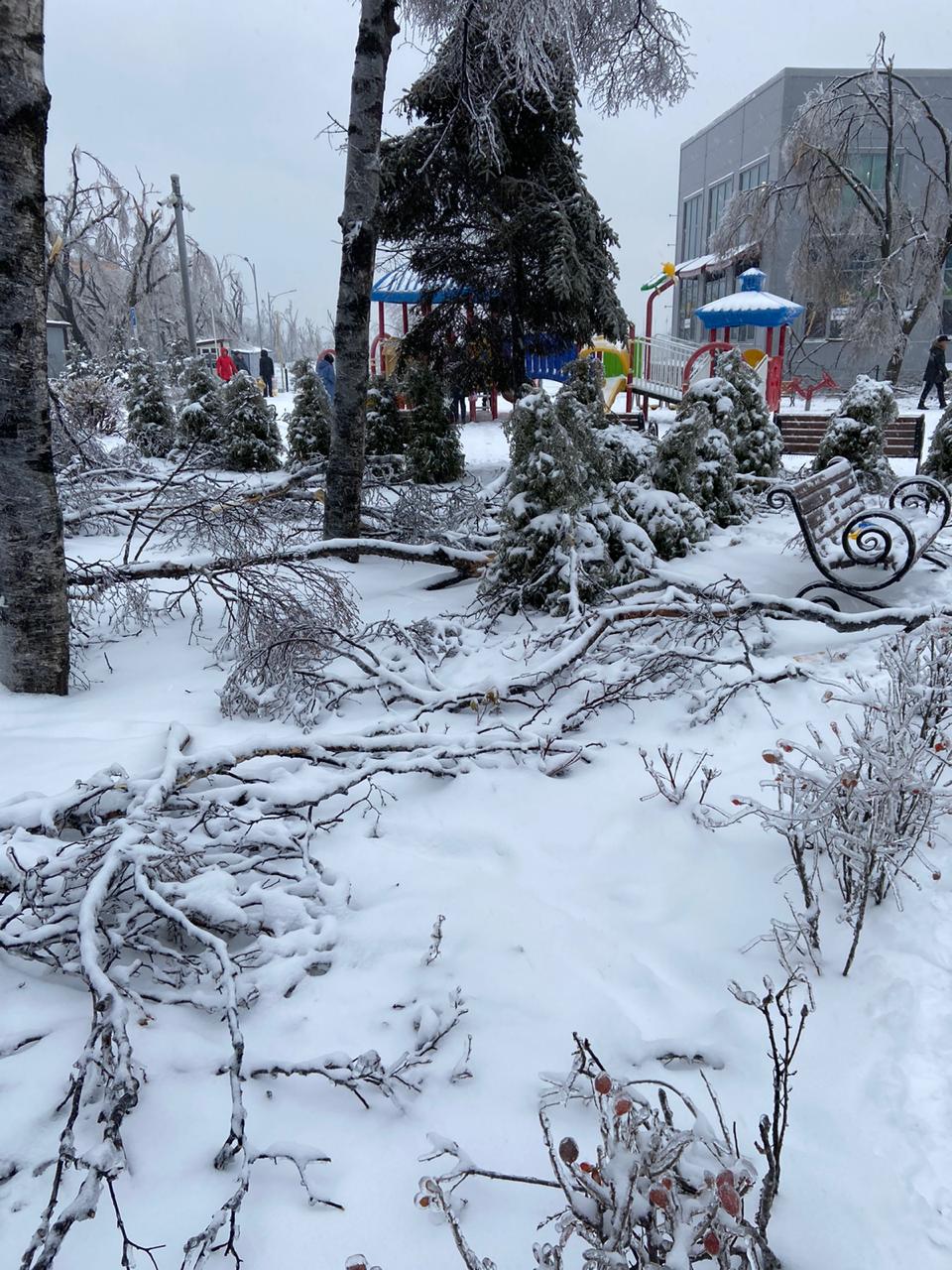 Владивосток в ледяном плену. Фото и видео очевидца.