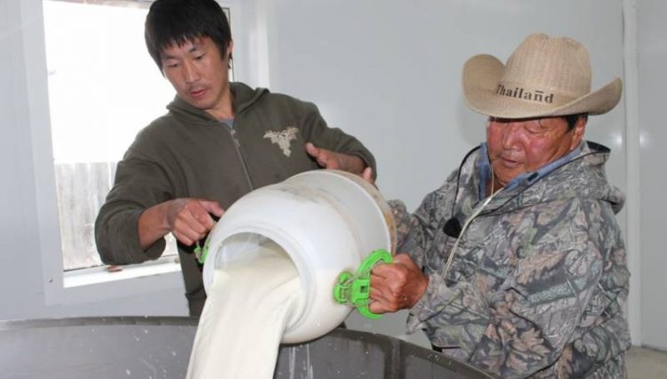 О новом механизме субсидирования личных подсобных хозяйств по производству молока в Республике Саха (Якутия)
