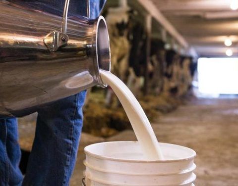 О новом механизме субсидирования личных подсобных хозяйств по производству молока в Республике Саха (Якутия)