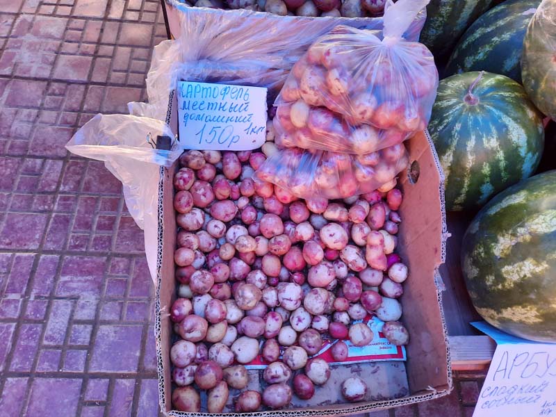 Крестьянский рынок 10.08.2021 года: Свежая местная картошка по 200 рублей за кг как яблоки!