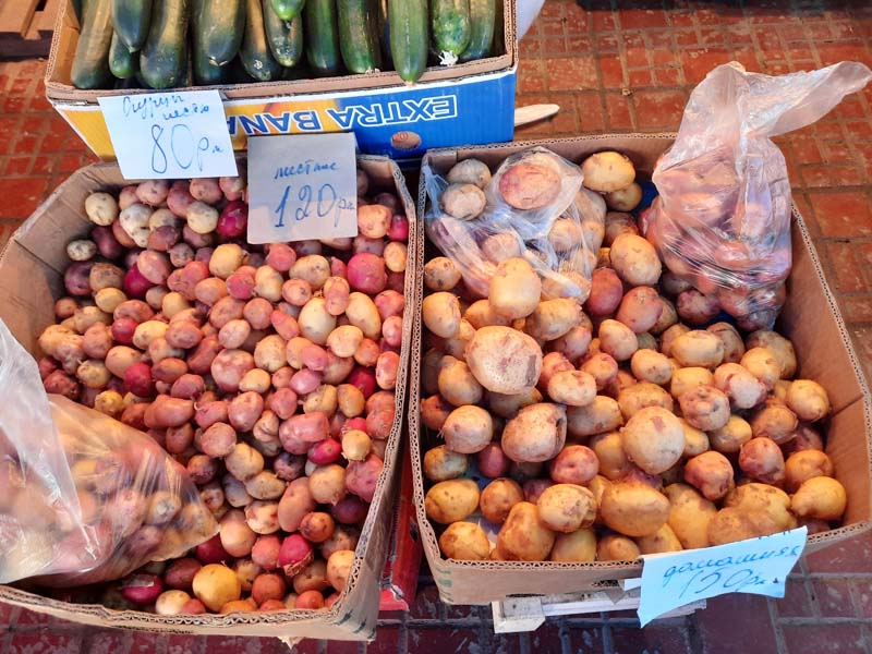 Крестьянский рынок 14.08.2021 г.: Цены местной и привозной картошки сравнялись! Местную мелкую картошку можно купить за 80 рублей!