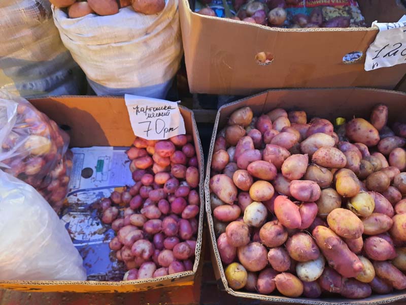 Крестьянский рынок 25.08.2021 г.: Картошка стала крупнее, огурцы и кабачки подорожали!