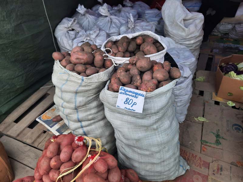 Комсомольская площадь 24.09.2021 года: картошка мелкая по 50, в среднем стоит 65-85 рублей