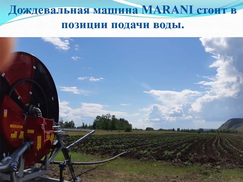 Фермер Розалия Петрова о выращивании картофеля