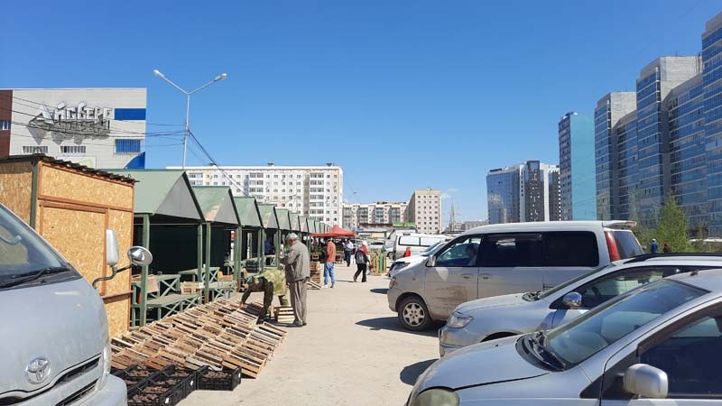 Ярмарка и продажа рассады на Комсомольской площади. Фото и видео
