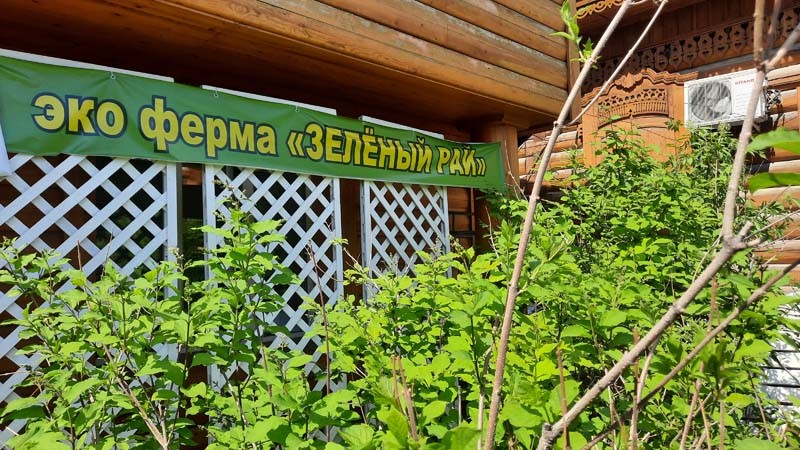 Акция в салоне "Зеленый Рай" - рассада по 35 рублей! И проект "Мой эко путь"!