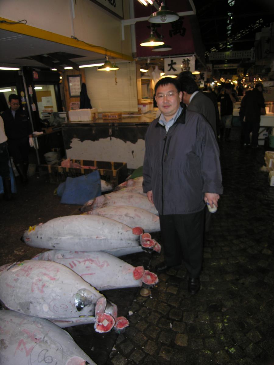 Чрево Токио — рыбный рынок Цукидзи!